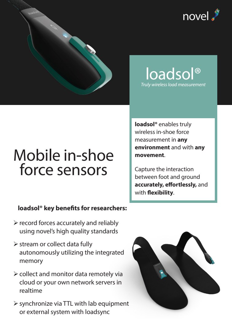 loadsol flyer preview
